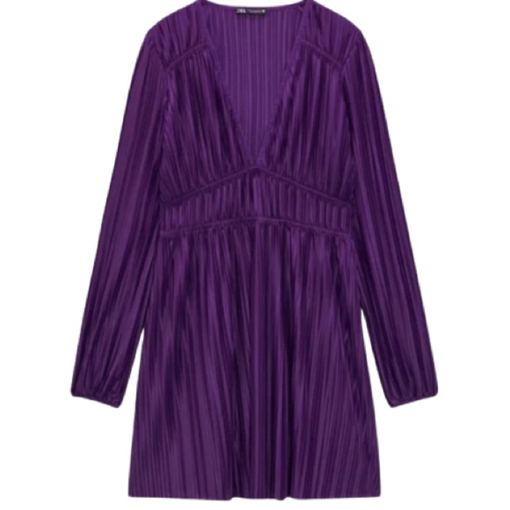 Zara Pleated Dress